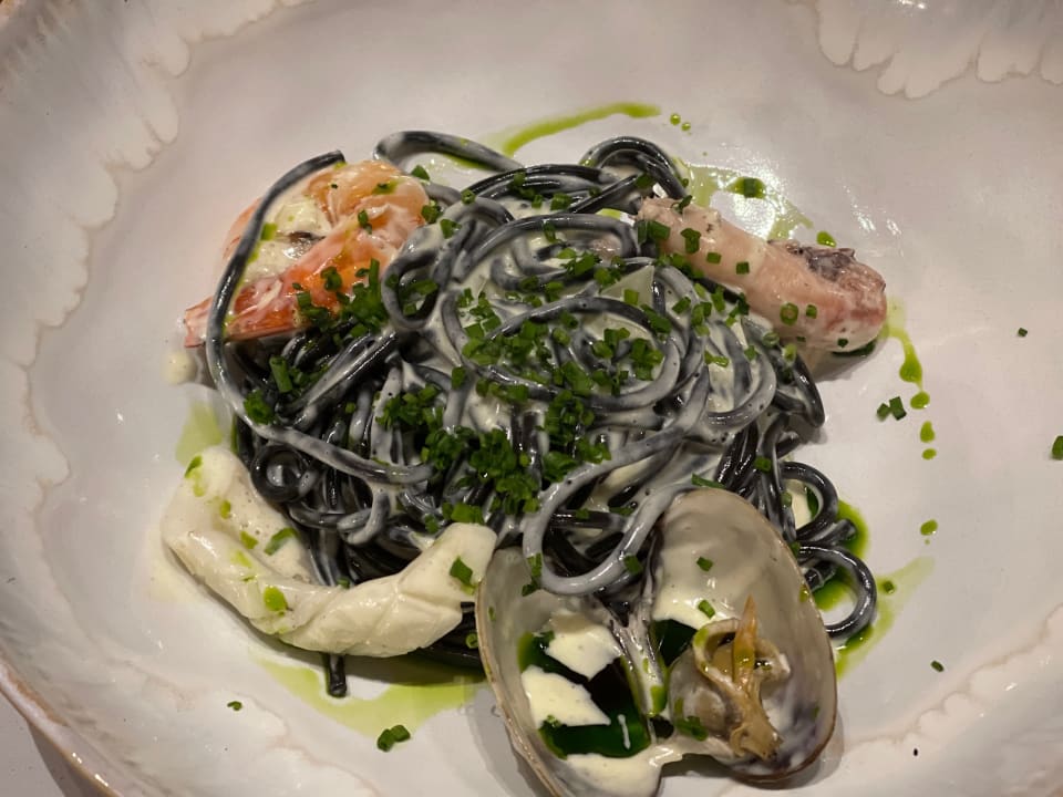 Gastro Acanthus Cennet Barut Collection