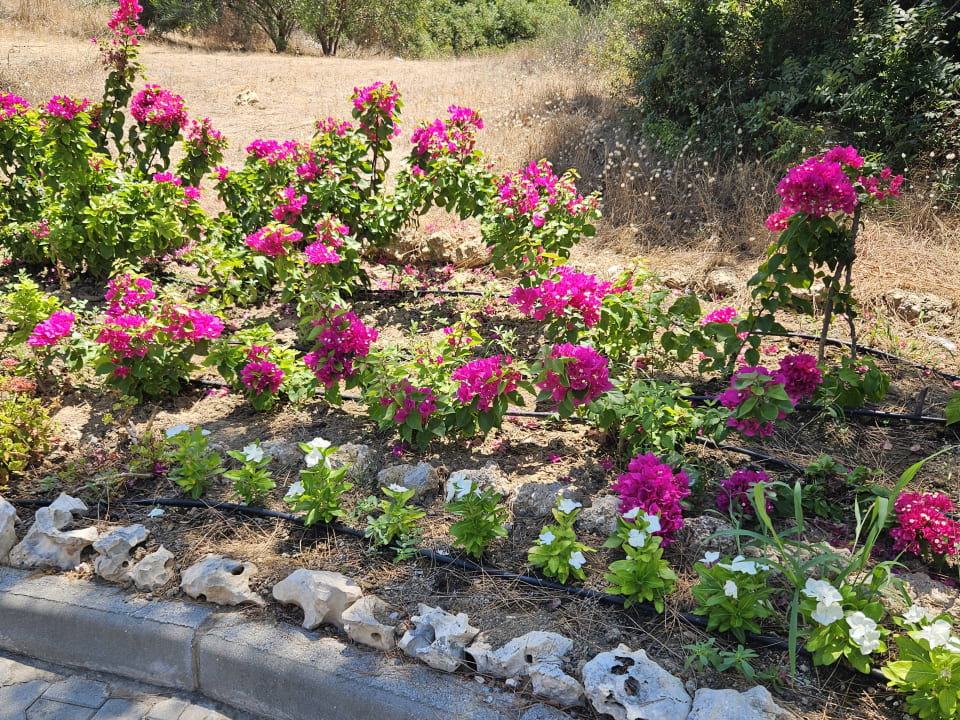 Gartenanlage Diamond Premium Hotel & Spa