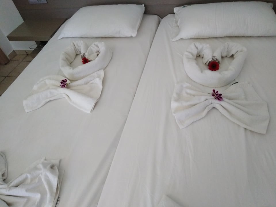 Zimmer Gaia Garden Hotel