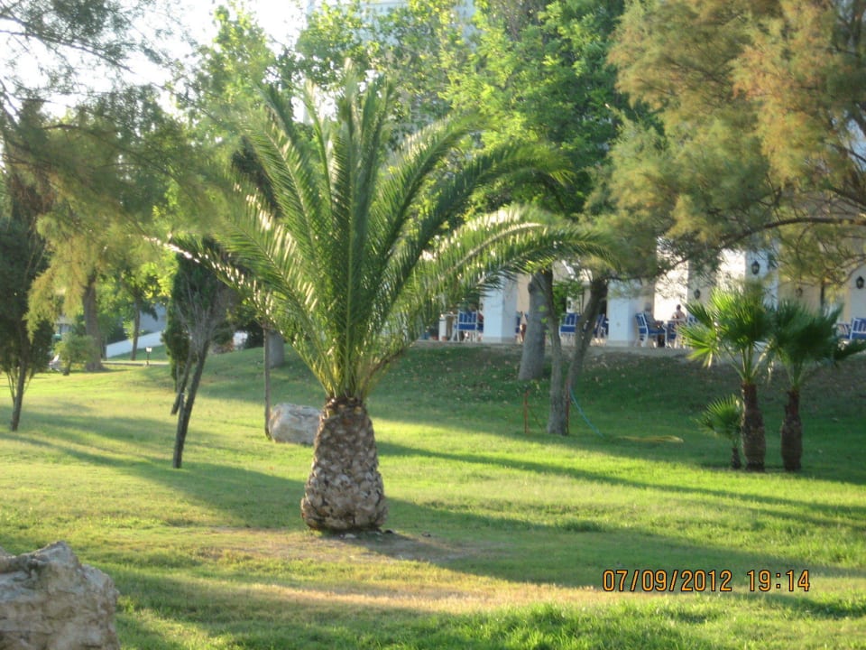 Сады отеля Domes Aulūs Zante, Autograph Collection