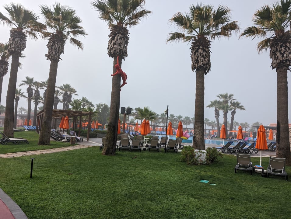 Pool Megasaray Club Belek