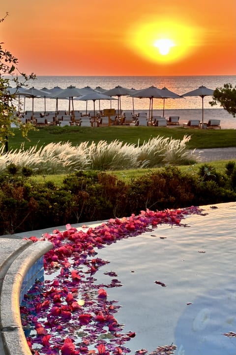 Pool Baron Palace Sahl Hasheesh