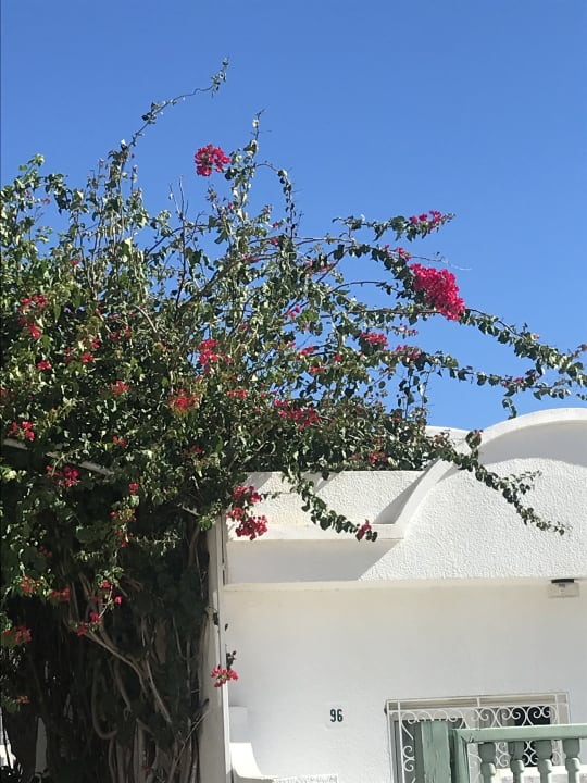 Gartenanlage El Mouradi Club Kantaoui