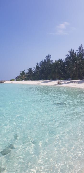 Strand Summer Island Maldives