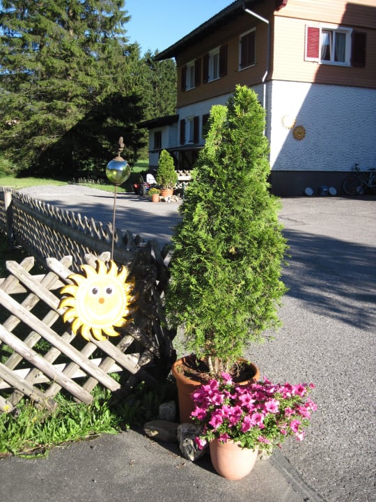Blumen schmücken den Weg zur Gartenlaube Pension & Ferienwohnung Solaria