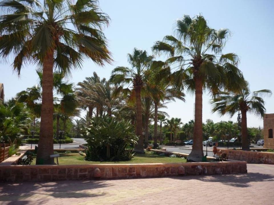 Hotelauffahrt Mövenpick Resort El Quseir