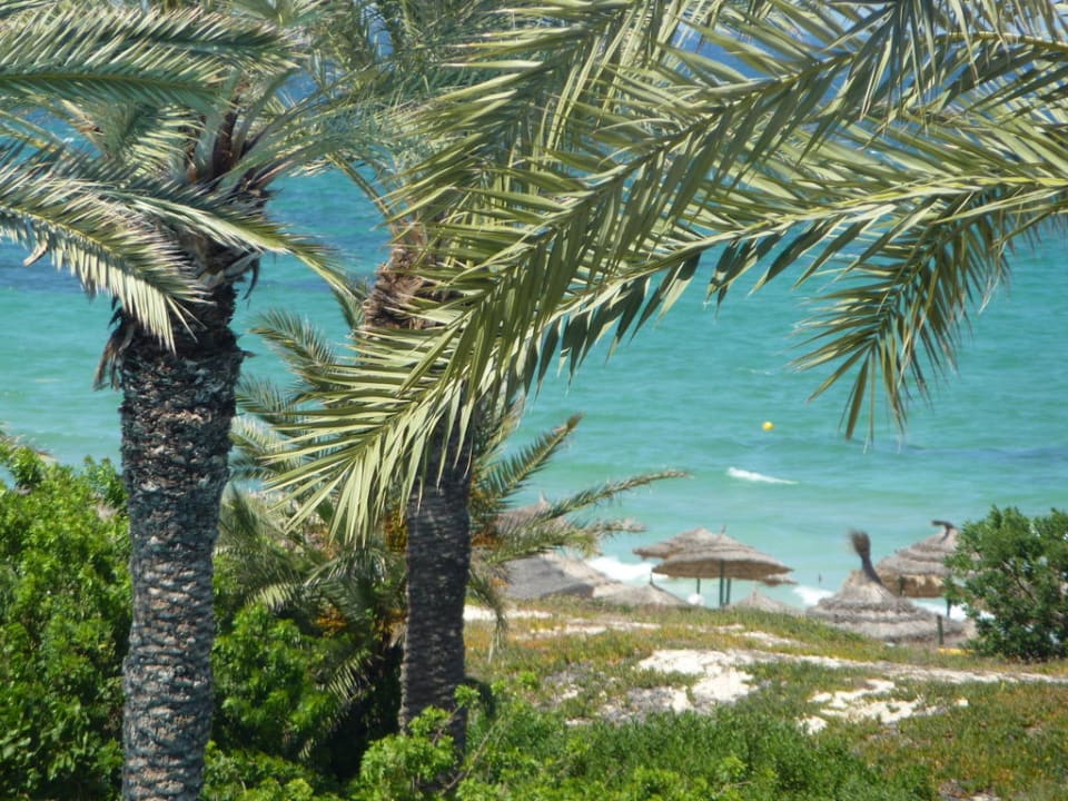 Blick vom Zimmer auf Strand und Meer El Ksar Resort & Thalasso