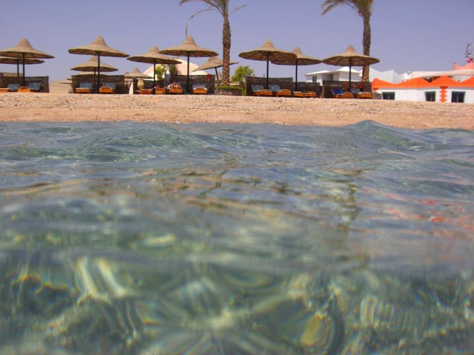 Blick aus dem Wasser Hotel Coral Garden