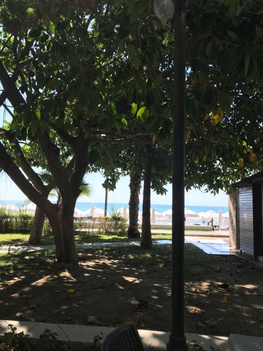 Gartenanlage Hotel Sirma