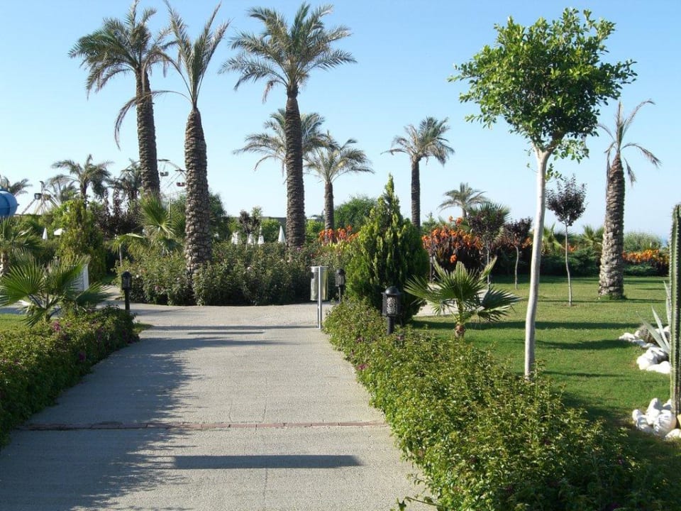 Hotelgarten Trendy Aspendos Beach Hotel