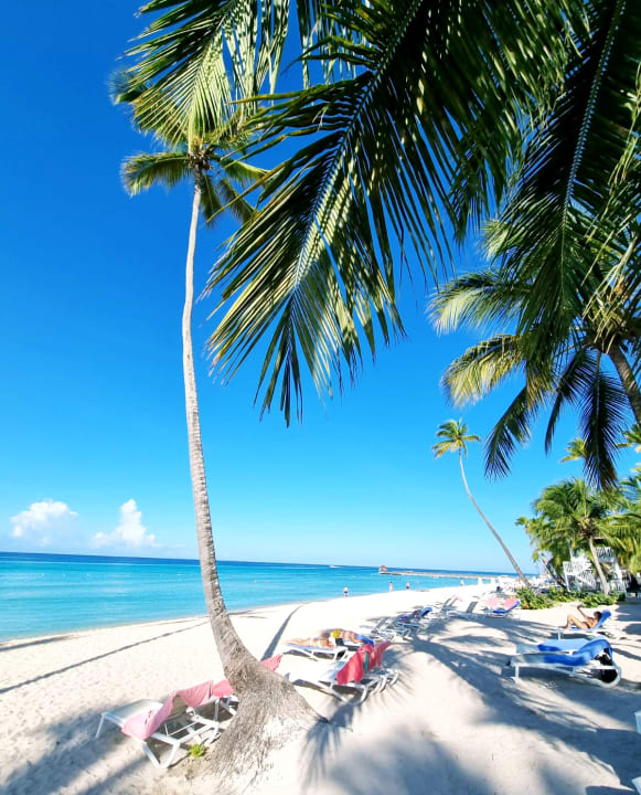 Strand Catalonia Royal La Romana - Adults only