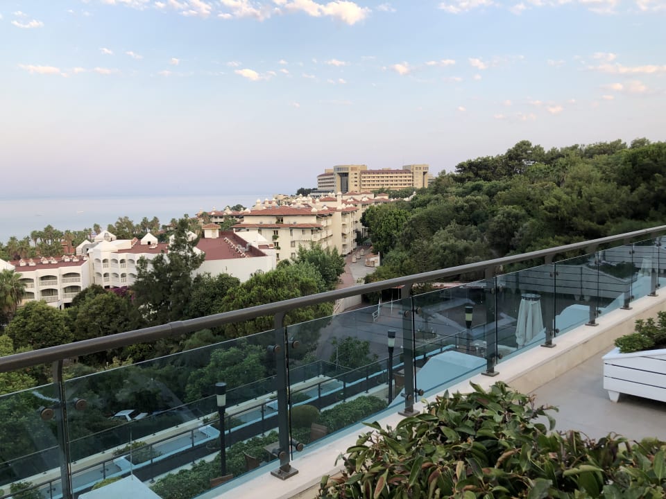 Zimmer Side Star Elegance