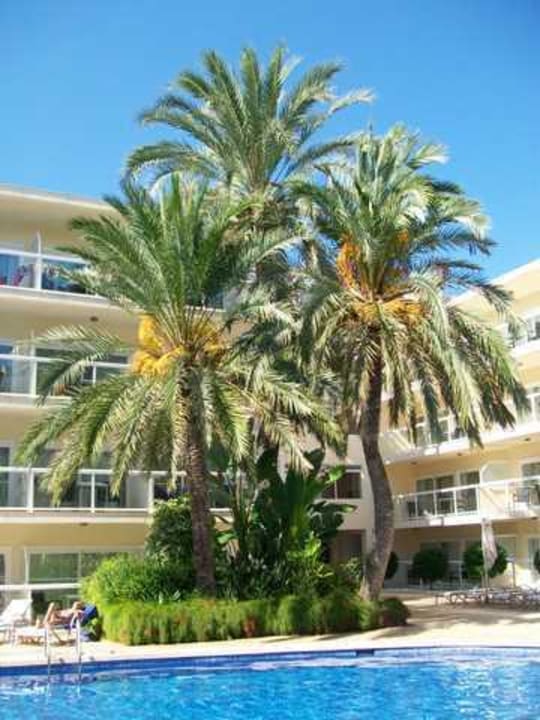 Innenpool Las Gaviotas Suites Hotel