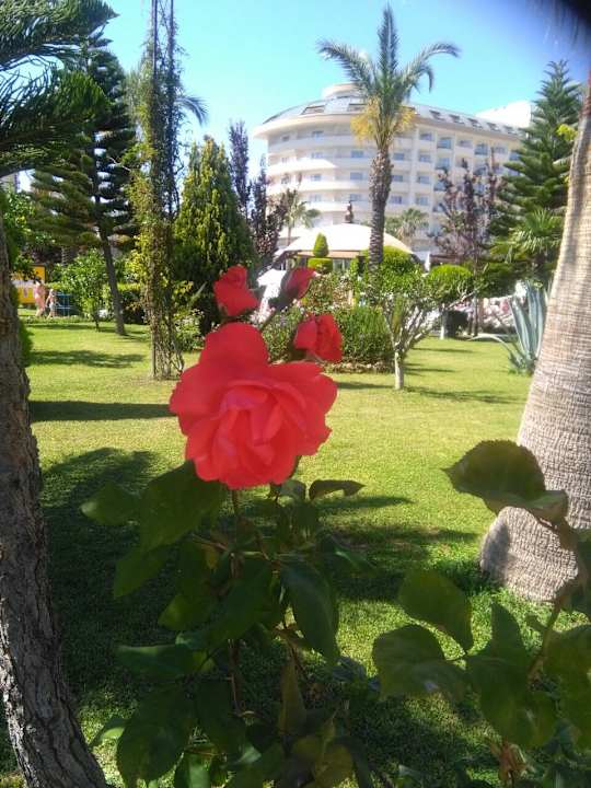 Gartenanlage Saphir Resort & Spa