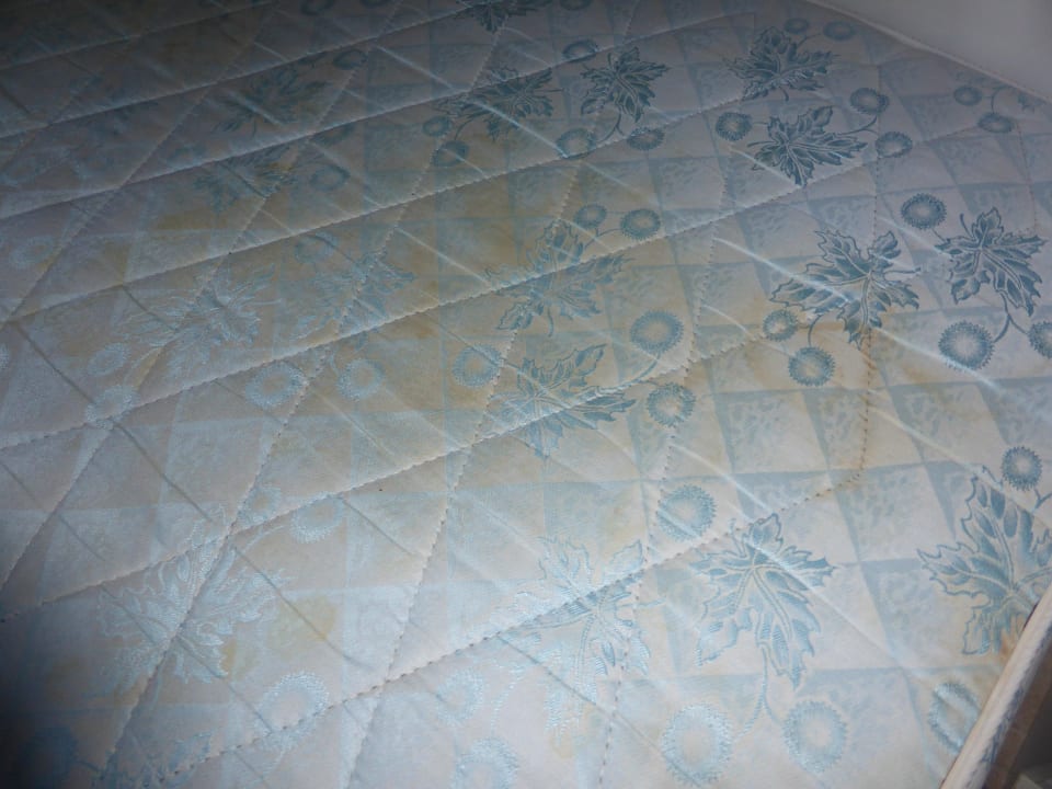 Matratze Sardafit Nr. 555a - Surfer's Traumhaus an zwei Sandstränden