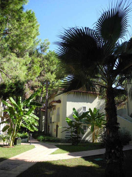 Garten Crystal Flora Beach Resort