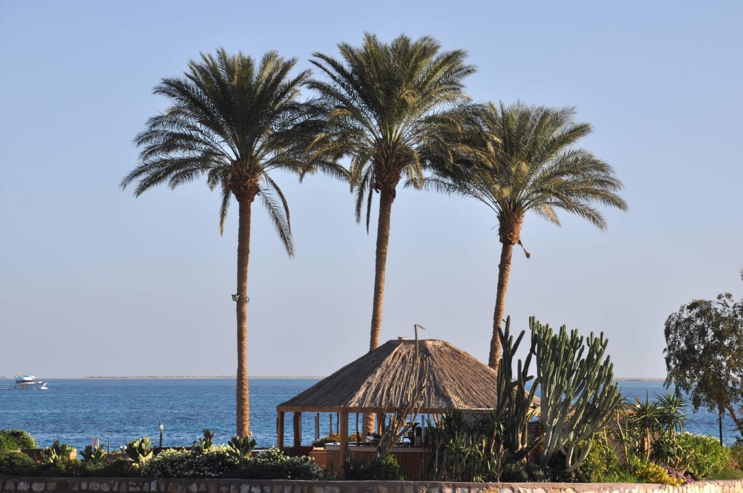 Mariott-Insel für Verliebte Marriott Hurghada Beach Resort