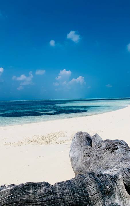 Strand Stone Hotel Dhiffushi