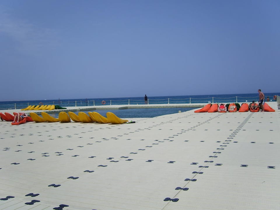 Planton Pickalbatros Palace Resort