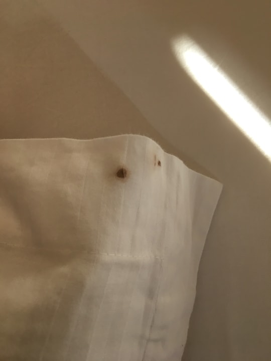 Zimmer Starlight Resort Hotel