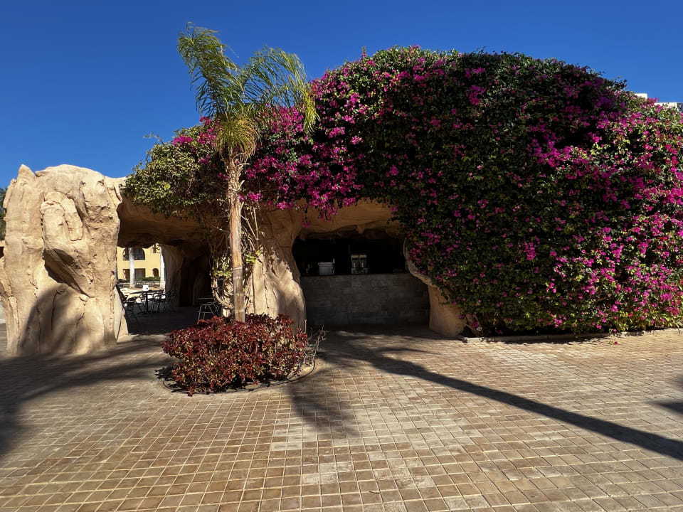 Gartenanlage Stella Garden Resort & Spa, Makadi Bay