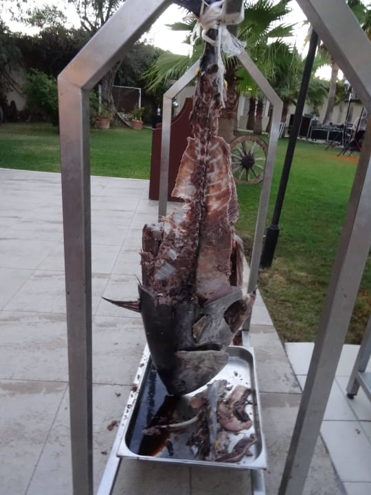 Thunfisch Hotel Süral Resort