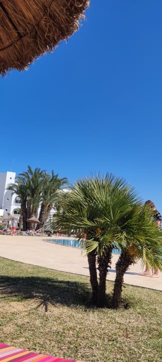 Pool Calimera One Resort Jockey