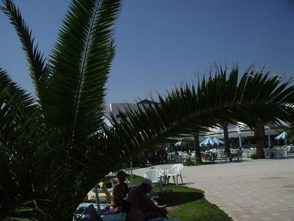 Abou Nawas Monastir Caribbean World Monastir