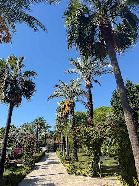 Gartenanlage Calimera Serra Palace