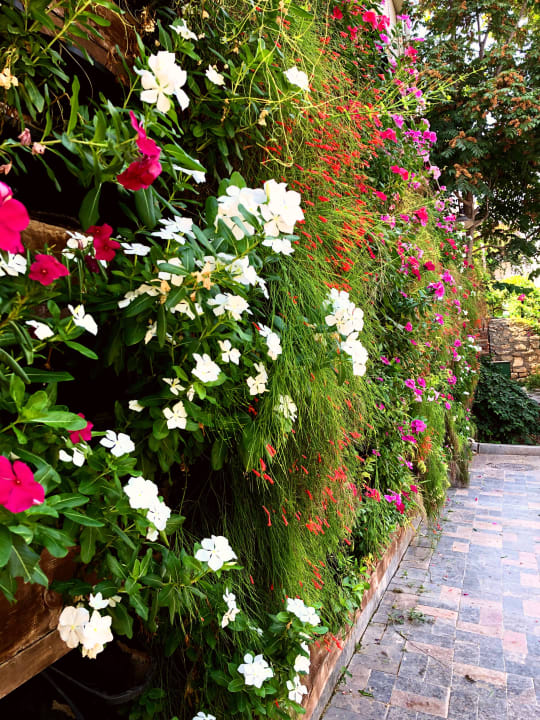 Gartenanlage Alp Pasa Hotel - Special Class