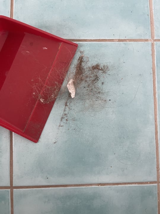 Zimmer Apartamentos LIVVO Morromar