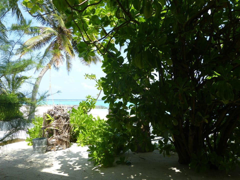 Superiorbungalow 222 Summer Island Maldives