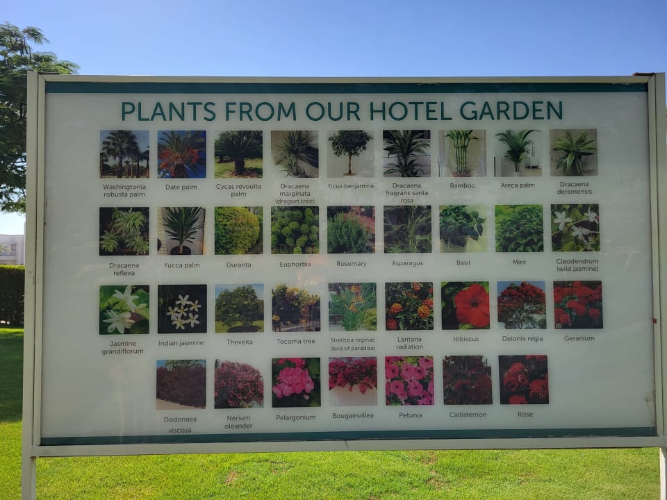 Gartenanlage Jaz Aquaviva