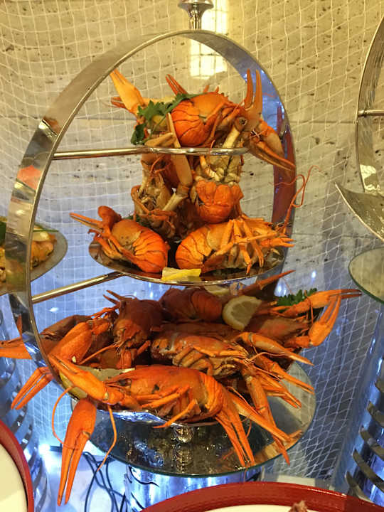 Gastro Acanthus Cennet Barut Collection