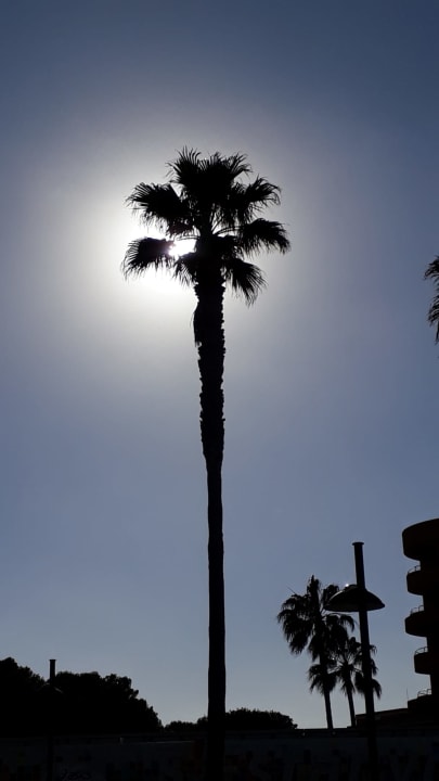 Ausblick Hipotels Hipocampo Playa