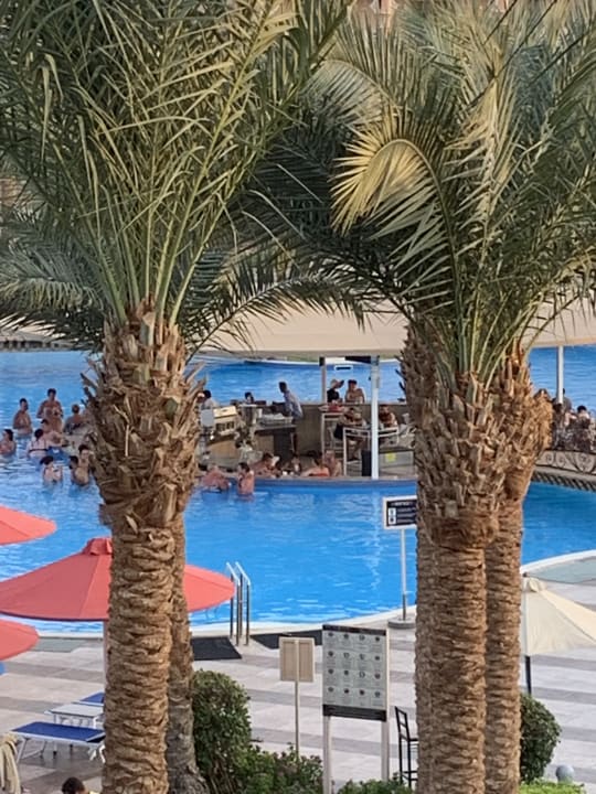 Pool Pickalbatros Palace Resort