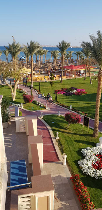 Ausblick Pickalbatros Palace Resort