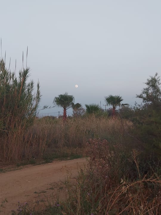 Sonstiges HARPIN Georgioupolis Resort Aquapark & SPA