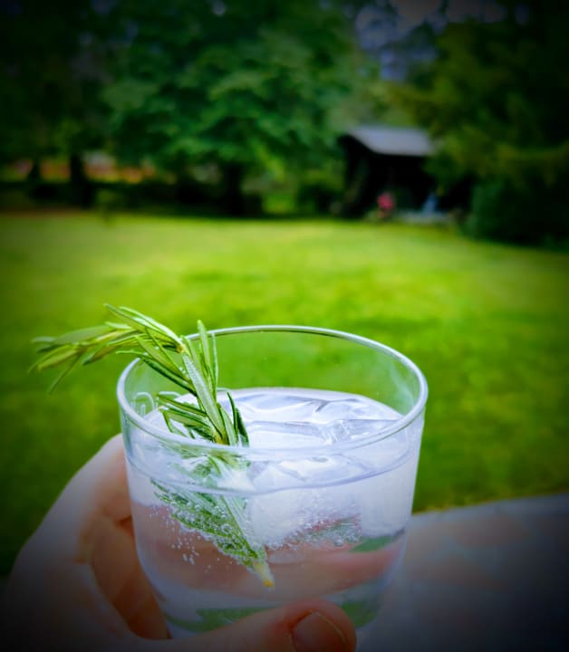Gartenanlage Pension Alpina Obsteig