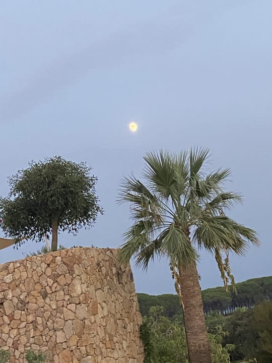 Ausblick Hotel Corte Bianca - Bovis Hotels - Adults Only