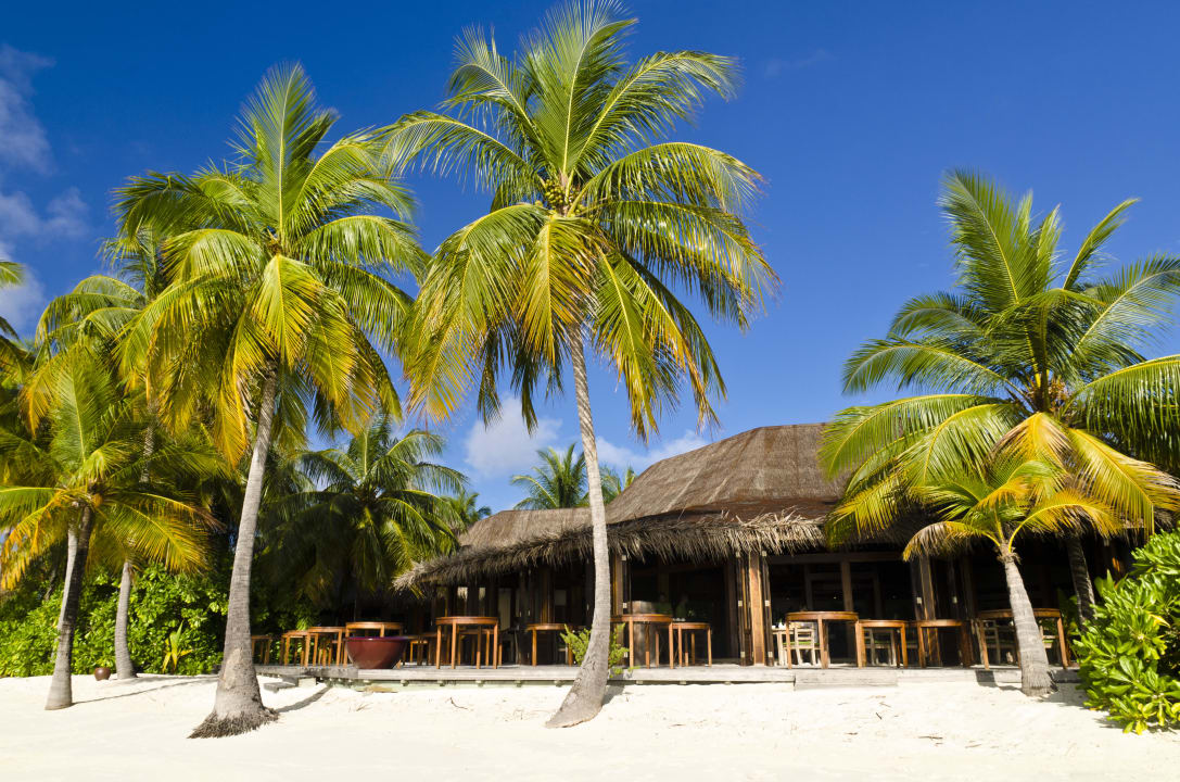 Buffet restaurant Mirihi Island Resort