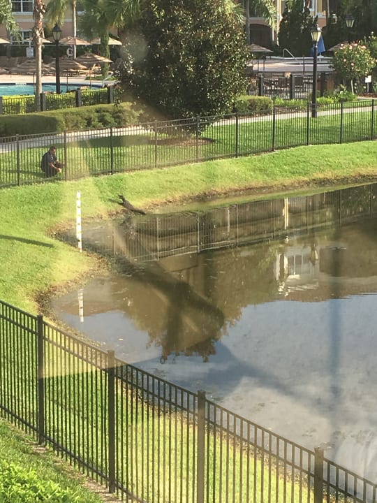 Gartenanlage WorldQuest Orlando Resort