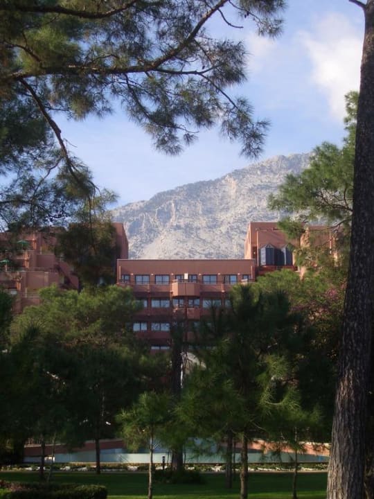 Blick vom Balkon Balmy Foresta