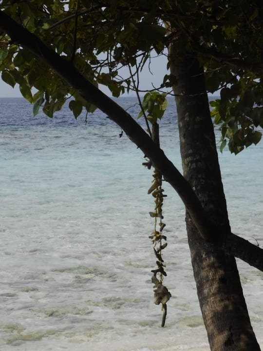 Schöne Motive Biyadhoo Island Resort