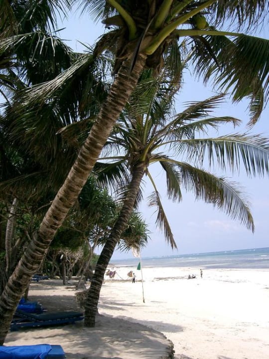 Außer dem Riff-> ein toller Strand Kaskazi Beach Resort
