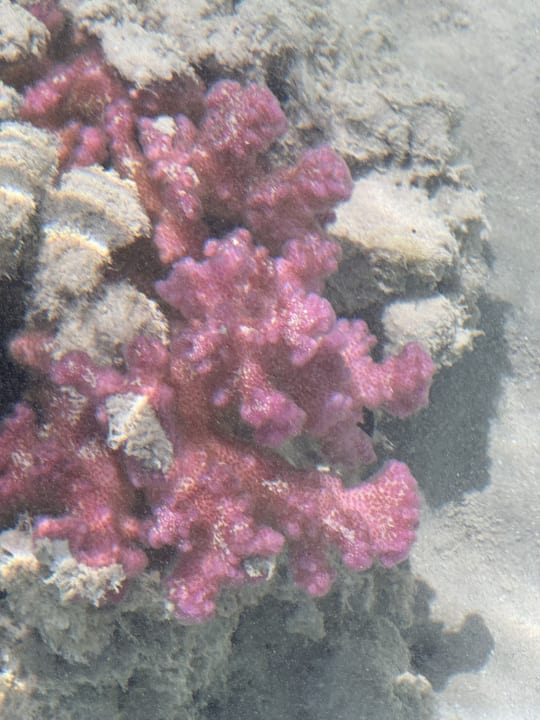 Strand Kaisol Romance Resort