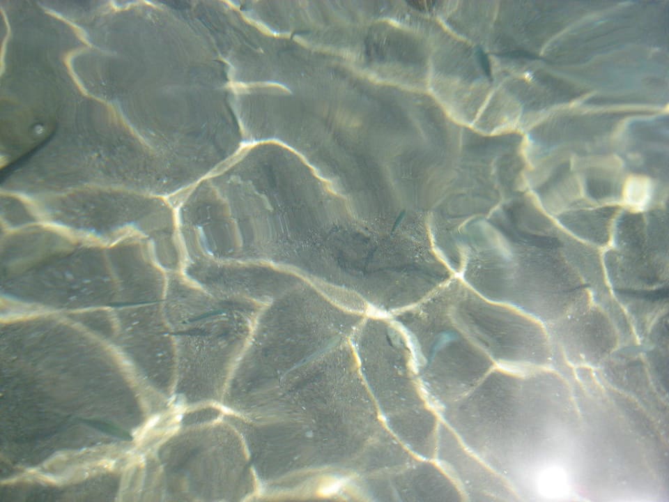 Fischlein im Meer Blue Lagoon Village