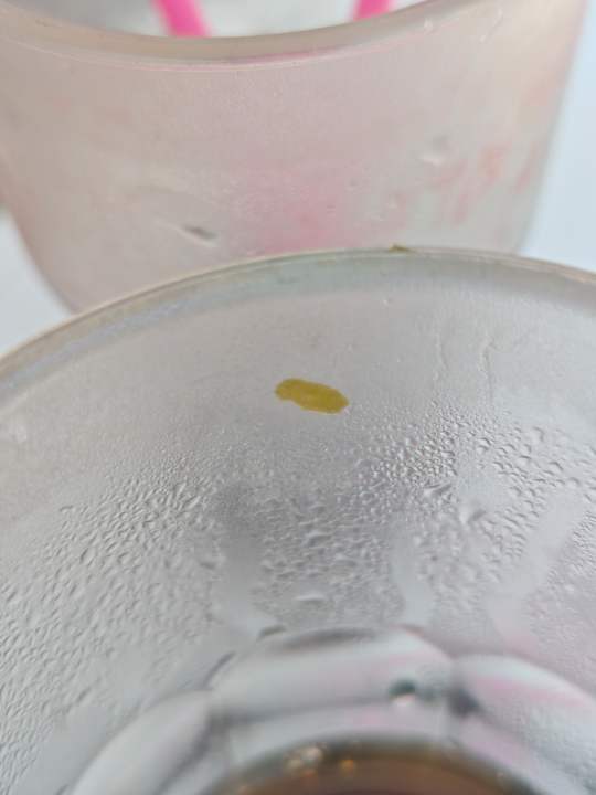 Gastro Monachus Family Resort Sorgun