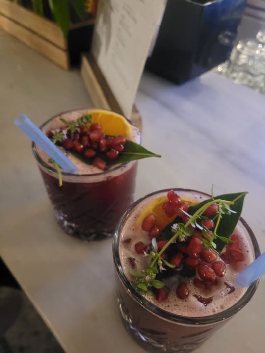 Gastro PALOMA Perissia