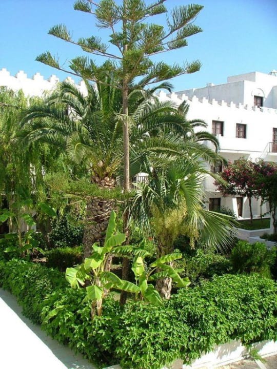 Garten 2 TUI BLUE Oceanis Beach and Spa Resort